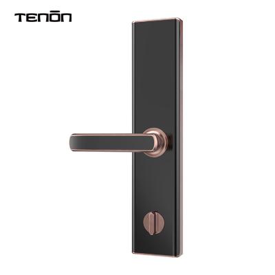 China Security Door Tenon E5 Statement Home Digital Door Lock Fingerprint Password Smart Lock Door Handle Wooden or Metal or Custom Keyless for sale