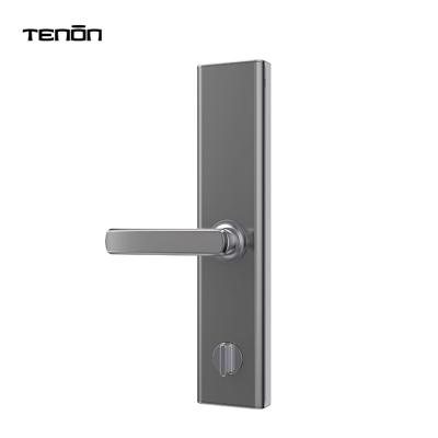 China Wooden or Metal Doors Tenon Door Lock E5C Smart Door Lock Smart Home Electric Safe Electronic Biometric Fingerprint Door Handle Lock for sale