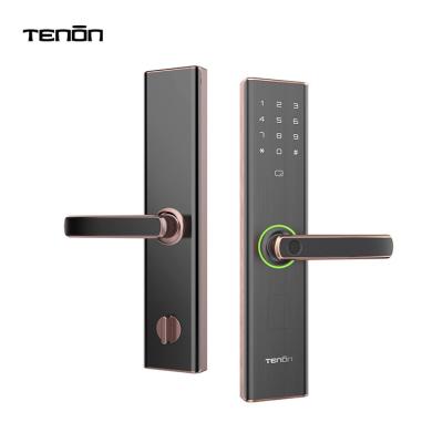 China Large Biometric Fingerprint Wooden or Metal Doors OEM/ODM Keyless rfid lock Zinc Alloy Smart Digital Door Latch Flat for Romania for sale