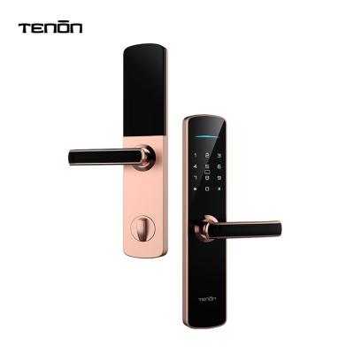 China Wooden or Metal Doors Waterproof Outdoor Electronic Rfid Keyless Card System Biometric Lock Fingerprint Door Handle Smart Digital Door Lock for sale