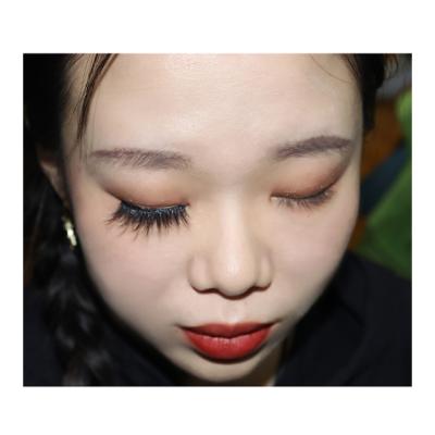 China Natural Lashes Long 25mm Long Wrapped Soft And Fur Wrapped 3d Mink Eyelashes for sale