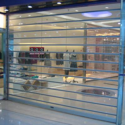 China Modern Auto Clear PC Polycarbonate Roller Shutter for sale