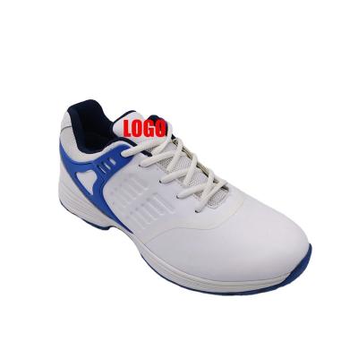 China Outdoor Custom Logo Design Classic Sneakers Simple Activies Sneakers Tend Mens Golf Shoes Non-Slip Sole for sale