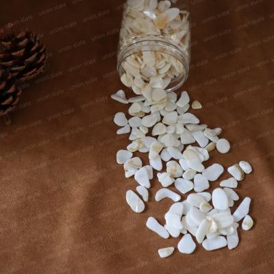 China Natural White Pearlescent MOP Shell Chips Square Inlay Chips For Jewelry Accessories From Europe for sale