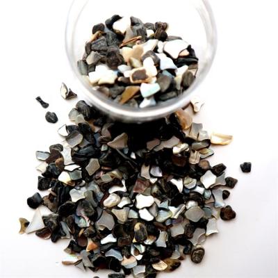 China Europe Natural Crushed Black Shell Mother Of Pearl Shell DIY Shell Pieces for sale