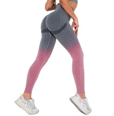 China New Gradient Hip Lift Fitness Sports Quick-Drying Tight Elastic Pants Breathable Seamless Breathable Yoga Pants for sale