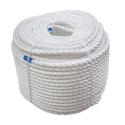 China Polypropylene Film Danline PP Ropes 4mm 6mm 8mm 10mm 14mm 18mm 20mm 24mm PP Ropes & Twist Customized Size for sale