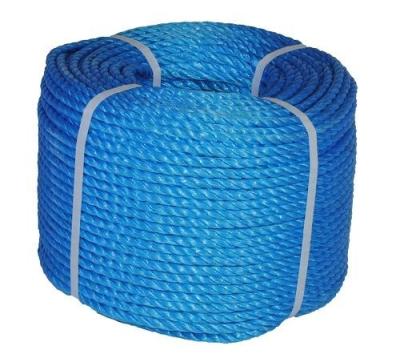 China 1.5 40mm pp Danline Rope Twine Manufacturer In India At Price Best And Best Quality HDPE Monofilament Jute Hemp Customized Size Per Rope for sale