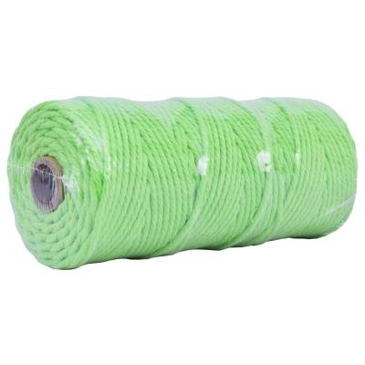 China Yiliyuan Factory Price 100% Cotton Natural Cotton Rope 4mm Macrame Cotton Rope for sale