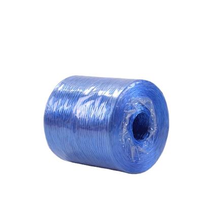 China UV Treated Hay Pp Baler Twine For Agriculture Packing Customized Size for sale