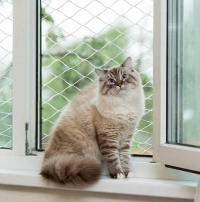 China Stored knotted window Cat Proof Balcony Safety Net for sale