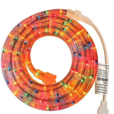 China Steady On and Sparkle Holiday Christmas Mini Multi Colored Rope Light for sale