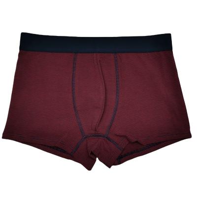 China Custom Size 95%cotton 5%elastane Antistatic Cotton Gay Underwear Panties Boys for sale