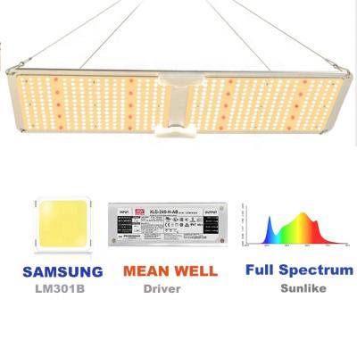 China Seed starting full spectrum led grow lights sf2000 lm301b STRATE led board farmer 220w led grow light for sale