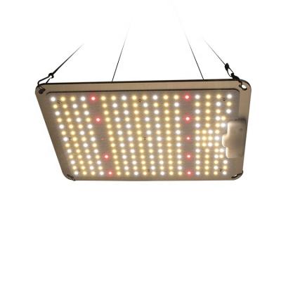 China Seed Starting LED Grow Light KL1000 Sunlike Full Spectrum Led Growing Light For Indoor Plants Led Grow Lamp For Hydroponic Indoor Seeding Veg for sale