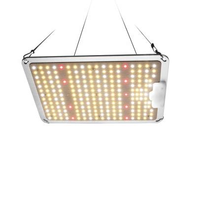 China Seed Starting Dimmable LM301h Full Spectrum Led Grow Light With Daisy Chain For Indoor Plant for sale