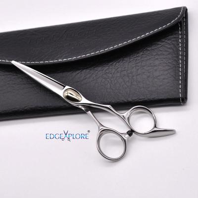 China Professional Thinning Scissors Stainless Steel Edge Hair Cutting Shears Thinning For Barber Salon for sale