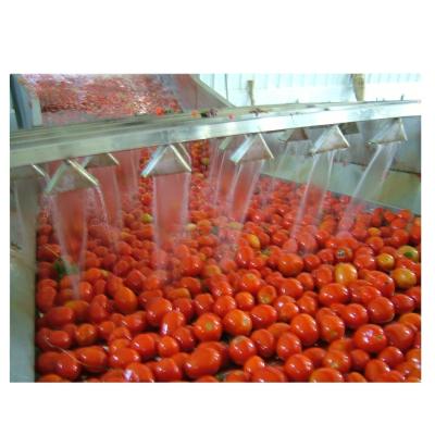 China Food Grade Stainless Steel Automatic Tomato Paste And Ketchup Production Line For Customized for sale