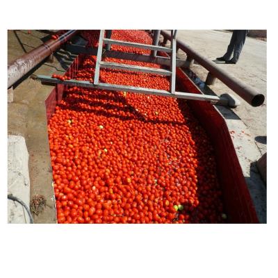 China Industrial Tomato Paste Making Machine Automatic Tomato Paste Processing Machine High Output for sale