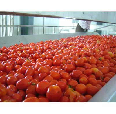 China 35000KG/H Capacity Industrial Tomato Paste Making Machine Food Grade Stainless Steel for sale