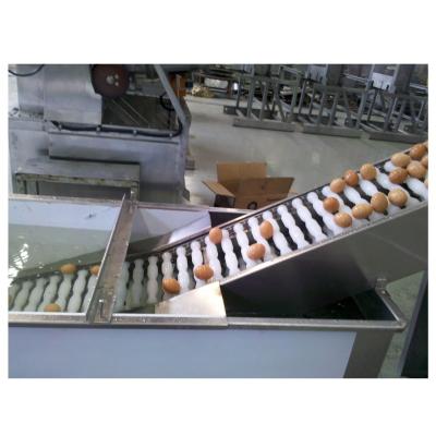 China Food Grade Egg Yolk White Separator Machine Egg Breaker Stainless Steel 304/316 for sale