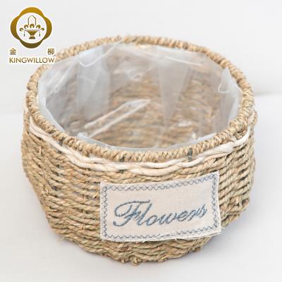 China Eco-Friendly KINGWILLOW, Plant Plankton Eco-Friendly Flower Pot Gift Basket for sale