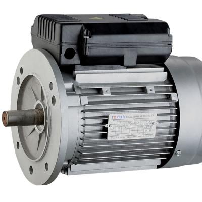 China YL Series 3 HP Single Phase Aluminum Housing Totally Enclosed Motor for sale