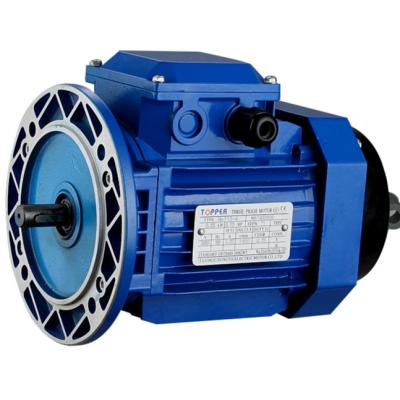 China For agricultural machinery MS SERIES THREE PHASE ASYNCHRONOUS MOTOR with ignition body for sale