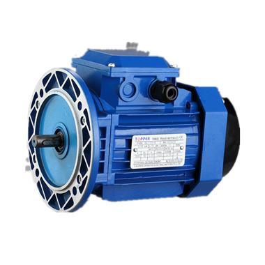 China Fully Enclosed Pump Motor Y2 Series Three Phase Asynchronous Pump IM B3 Electric Motor for sale