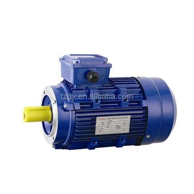 China Totally Enclosed Three Phase Asynchronous Electric Bike Motor MS Series 4.5HP Motor for sale