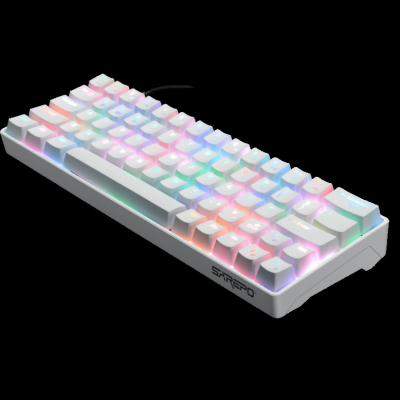 China Anti-Ghosting Special Offer Wholesale USB Wired Keyboard Gamers Preferred Gaming Keyboard RGB Backlit Mini 61 Key Mechanical Keyboard for sale