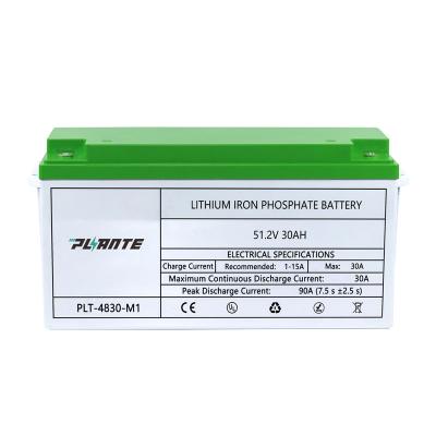 China Environmental Safety Long Life 48v lifepo4 battery pack lithium phosphate battery 12 volt 24v 36v lifepo4 battery 48v 30ah for sale