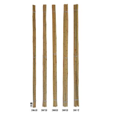 China Small Pole Stake Bamboo Cane Bamboo Raw Material Easily Assembled for sale