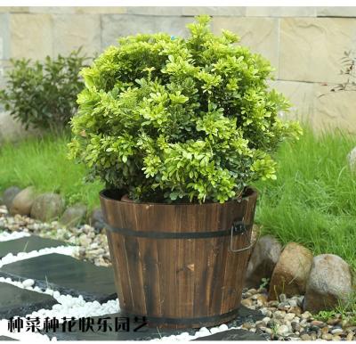 China Modern Round Wood Planter Wooden Flowerpot Barrel Wooden Planter for sale