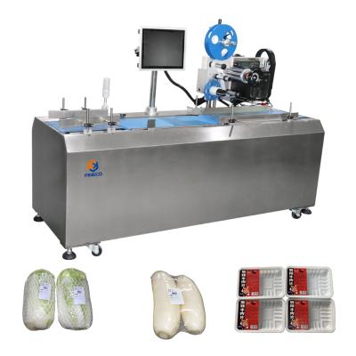 China Food Fineco Best Platform Type Weighing Machine Barcode Printer Scale Label Weighing Machine for sale