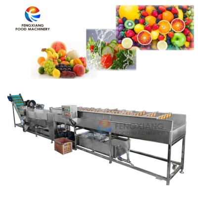 China Cumquat washing Vegetable Processing Line fruit washing processing line for sale