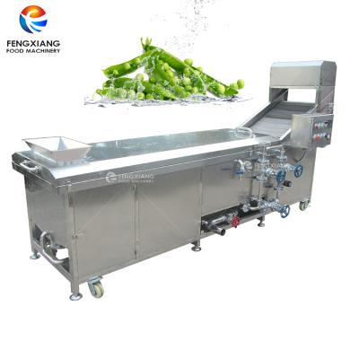 China PT-1000 Industrial Automatic Lifting Type Fruit and Vegetable Potato Chips Blanching Machine for sale