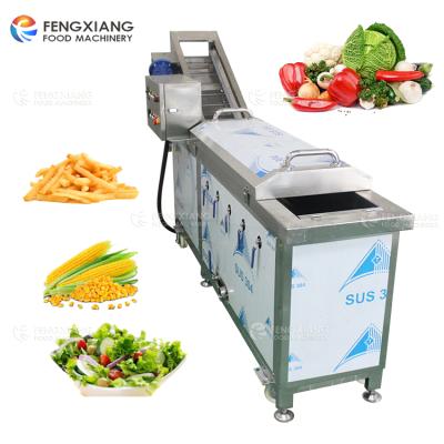 China Small Type Customized Vegetable and Fruit Blanching Potato Chips Pre-boiling Machine for sale