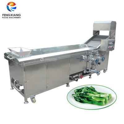 China Industrial Automatic Lifting Type Fruit and Vegetable Potato Chips Blanching Machine for sale