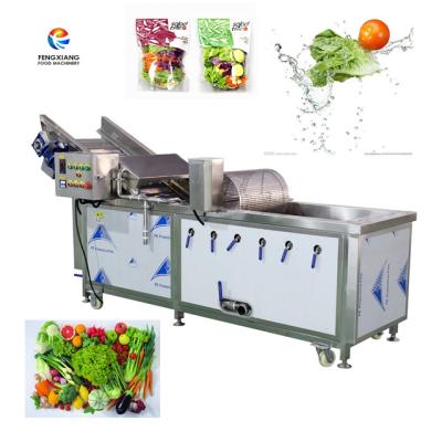 China WA-1000 Pre-Cut Vegetable Washing Machine Leafy Vegetable Cabbage Ozone Washing Machine for sale