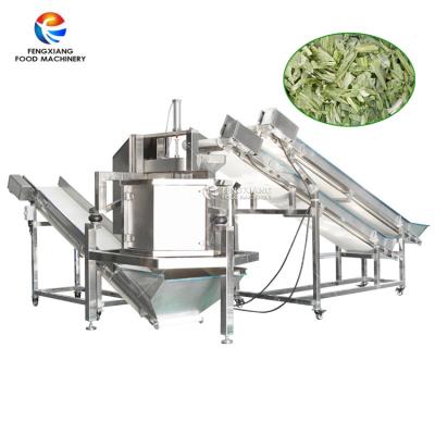 China Fengxiang Spin Vegetable Dehydrator Machine Vegetable Potato Continuous Dewatering Machine for sale