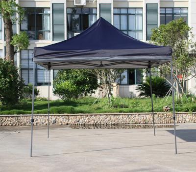 China Custom Wholesale 10x10 Steel Canopy Top Only Adjust Pop Up Awning To Garden for sale