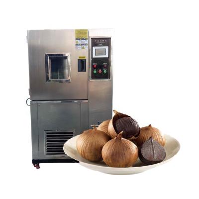 China Easy operation best price fermented black garlic for sale black garlic machine black garlic fermenter for sale