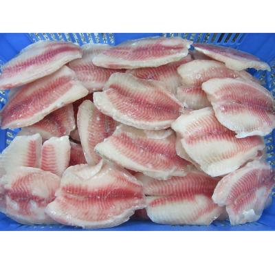 China High quality frozen fillet of Tilapia de NATURE without bone for sale