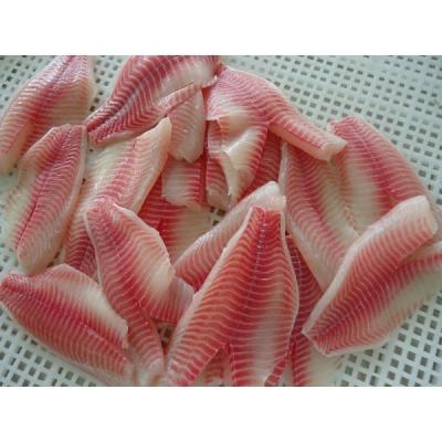 China Wholesale NATURE New Arrival Frozen Tilapia Fillet Price for sale