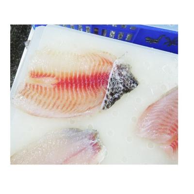 China Wholesale Good Prices NATURE Seafood Frozen Tilapia Fillet Fish for sale