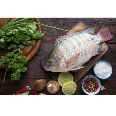 China Supply Good Price Black High Quality Frozen Tilapia Manufacturer China NATURE Seafood Tilapia Whole Round for sale