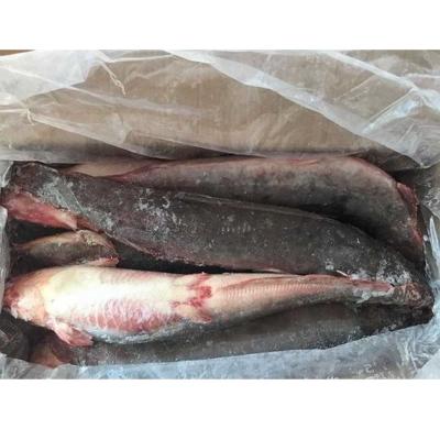 China WHOLE NATURE sales coupon high quality live fish frozen catfish sales price for sale