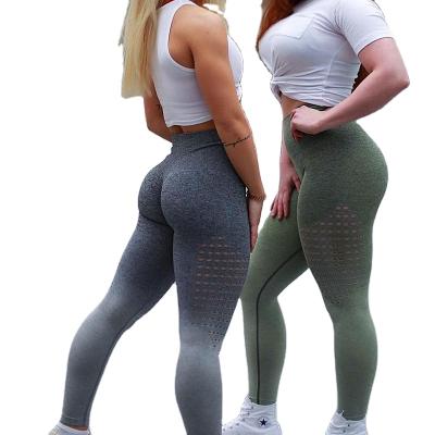 China Wholesale Antibacterial Women's Gym Common Wear Sports Wear Seamless Yoga Workout Shadow Set Fitness for sale