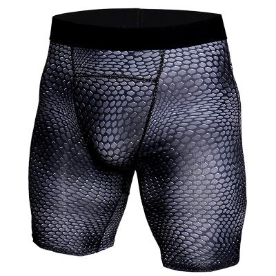 China China Breathable High End Custom Print Snake Fabric Phosphor Print Snake Fabric Pro Wear Cycling Men Cycling 3d Shorts Team Sport Jersey Wholesale Clothes for sale